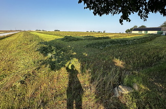Mitt i fältet , 1.7 hektar jordbruksmark ©Gunnel Pettersson
