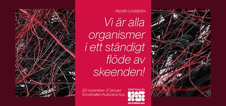 Vi är alla organismer i ett pågående flöde av skeenden