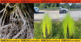 Trådar genom makt. Jeanette Schäring och Christin Wahlström Eriksson