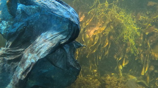 Från Viskan till Havet - Kattegatt Textil i havet 