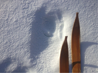 Skogssamiska landskap, text av Emma Göransson