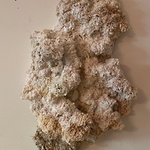  "Vit". Sömnad av återvunnen spetsduk och makramé (2023) © Åsa Westman