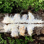 Ryor i Landskap, vävd rya, 2021 © Elizabet Christiansson