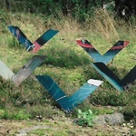 Modus, tryck på aluminium 50 x 50 cm © Lenka Jonesson Deker