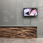 Odlingen: Experiment för utopier, Ystad konstmuseum, 2018 © Gunnel Pettersson