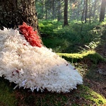 Ryor i Landskap, väv, 2021 © Elizabet Christiansso