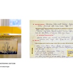 Exempel på bidrag till bildinsamlingen