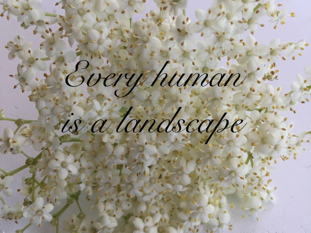 Every human is a landscape