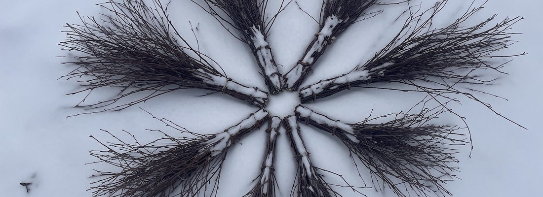 Ring av riskvast ©Victoria Brännström